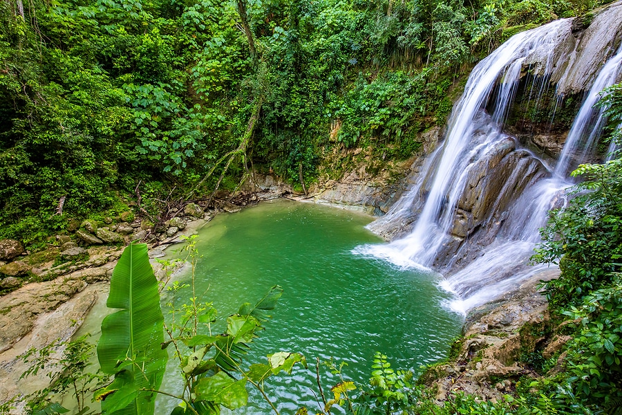 Discover the Beauty of Cascada Gozalandia